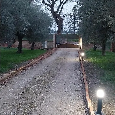 La Stalla Di Nonno Zopito Lantställe *