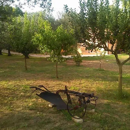 La Stalla Di Nonno Zopito Lantställe Loreto Aprutino
