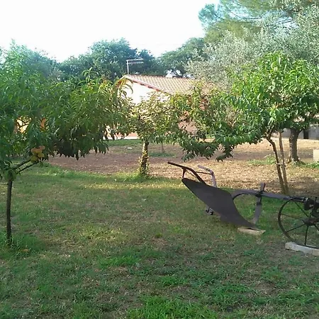 Lantställe La Stalla Di Nonno Zopito Loreto Aprutino