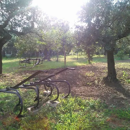 La Stalla Di Nonno Zopito