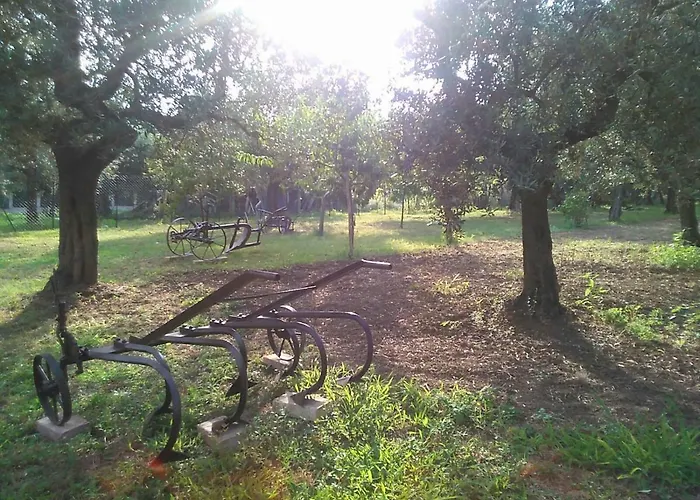 La Stalla Di Nonno Zopito